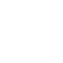Flat-icon