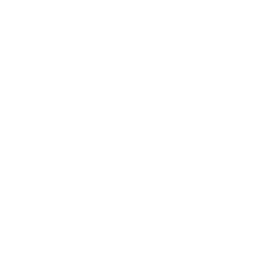Shop-icon